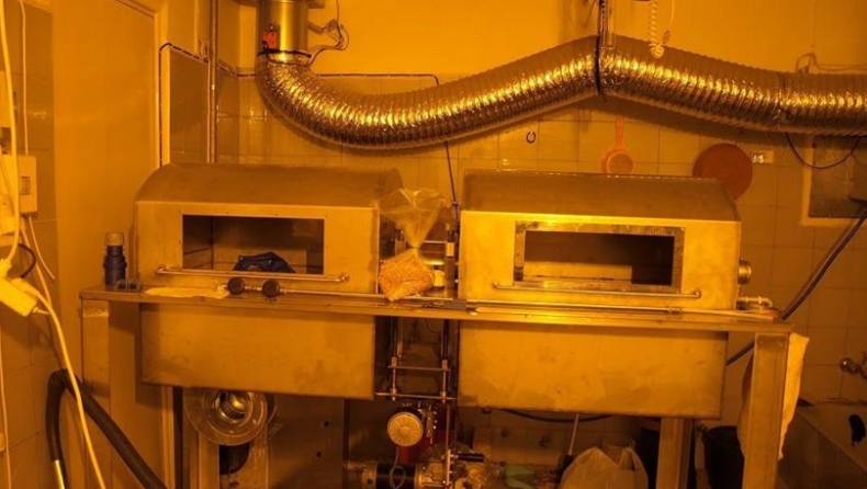 Βρήκαν χασισοφυτείες σε δάσος στον Πύργο