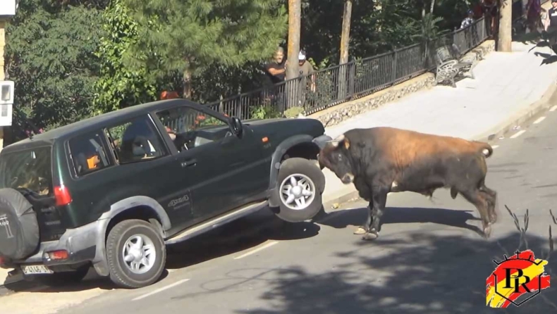 Μαινόμενος ταύρος καταστρέφει αυτοκίνητο (video)