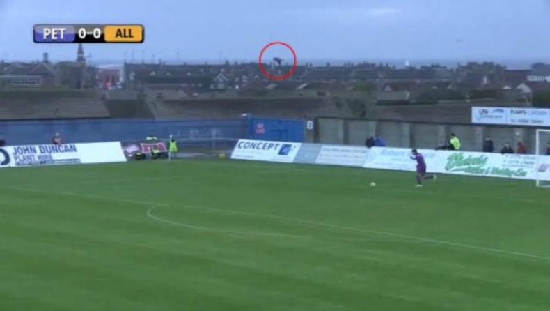 Τερματοφύλακας πέτυχε... γλάρο με βολέ! (vid)