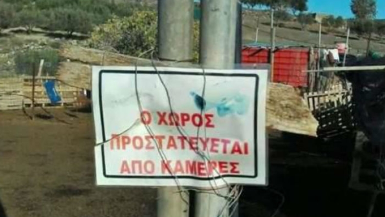 Το πιο high tech μαντρί είναι στην Κρήτη (vid)