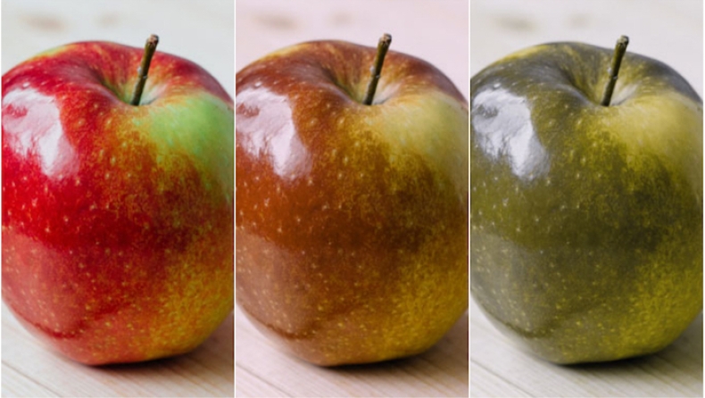 Έτσι βλέπουν τον κόσμο μας οι άνθρωποι με αχρωματοψία (pics)