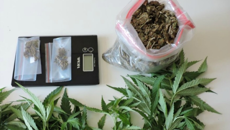 Καλλιεργούσαν κάνναβη στην Κέρκυρα δύο 20χρονοι