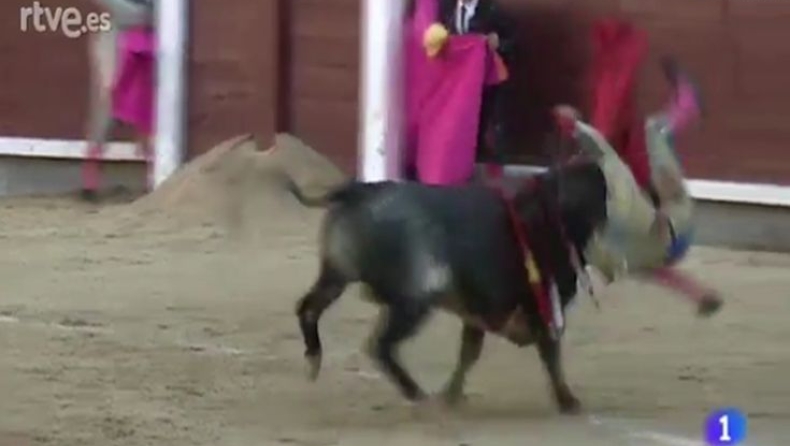 Ταύρος τρυπάει με μανία ταυρομάχο (vid)