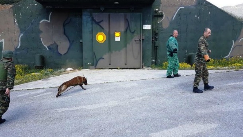 Οι σκύλοι «μαχητές» του ελληνικού Στρατού (pics)