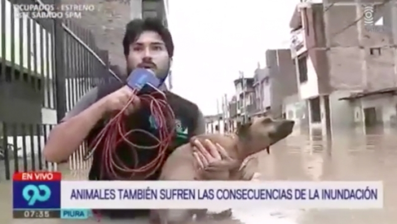 Ρεπόρτερ σταμάτησε τη ζωντανή σύνδεση για να σώσει σκυλάκι από πνιγμό! (vid)