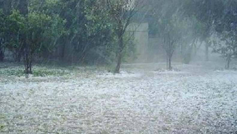 Καταστροφές από χαλάζι στην Κοζάνη (vid)