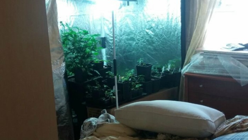 Ένας 40χρονος καλλιεργούσε κάνναβη δίπλα απ' το κρεβάτι του (pics)