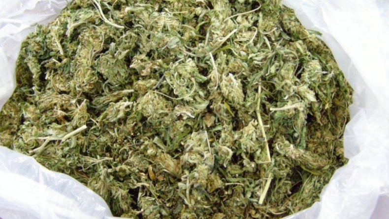 Χασισόδεντρα σε Ηράκλειο, Καβάλα και Μεσολόγγι