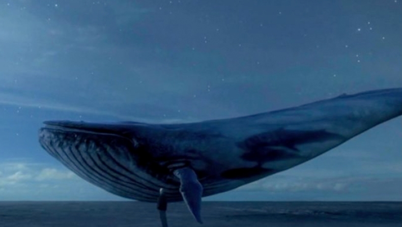«Μπλε φάλαινα»: Το «παιχνίδι αυτοκτονίας» που ήρθε στην Ελλάδα (pics)