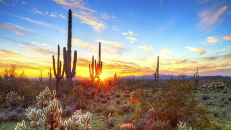Πρωτοφανής καύσωνας στις νοτιοδυτικές ΗΠΑ