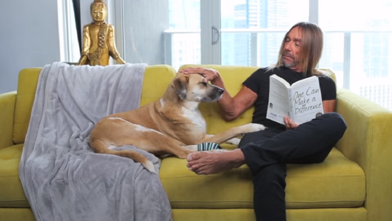 Nick Cave και Iggy Pop στο νέο βίντεο της PETA για τα δικαιώματα των ζώων (vid)