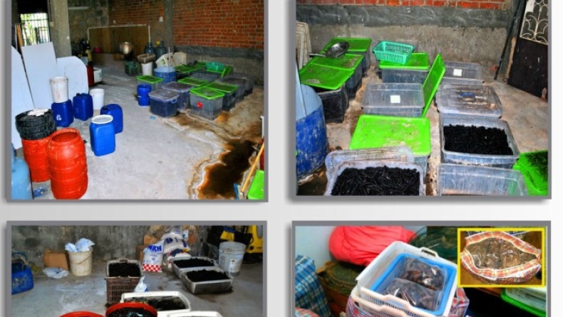 Κινέζοι... ρήμαξαν τον Μαλλιακό (pics)