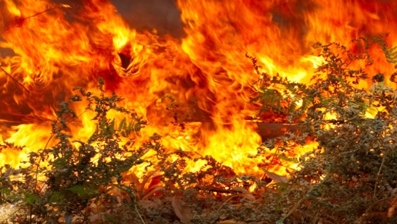 Υπό μερικό έλεγχο η φωτιά στην Κοξαρέ Ρεθύμνου