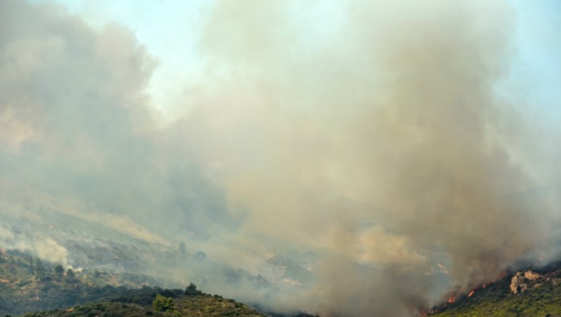 Εκκενώθηκε χωριό που απειλείται από τις φλόγες στην Αμαλιάδα