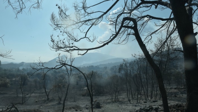 Μέσα σε μία ημέρα εκδηλώθηκαν 91 πυρκαγιές στην Ελλάδα