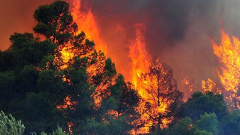 H Ελλάδα στέλνει πυροσβεστικά στην Αλβανία