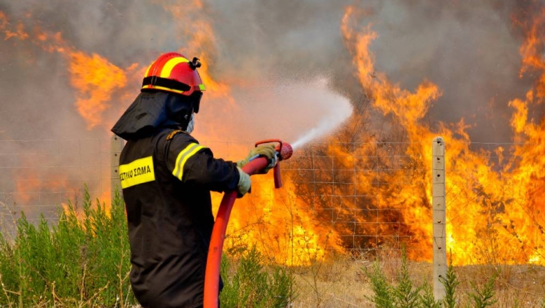 Φωτιά στην Φέριζα Σαρωνικού: Δυσκολεύουν την πυροσβεστική οι άνεμοι (vid)