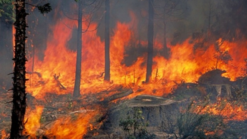 Οι 10 πιο καταστροφικές πυρκαγιές στην Ελλάδα