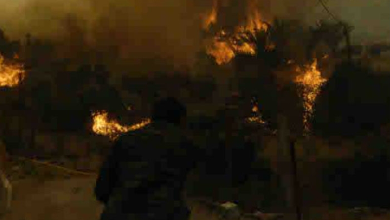 Σύλλογος ήθελε να «γιορτάσει» το ολοκαύτωμα της Ηλείας του 2007