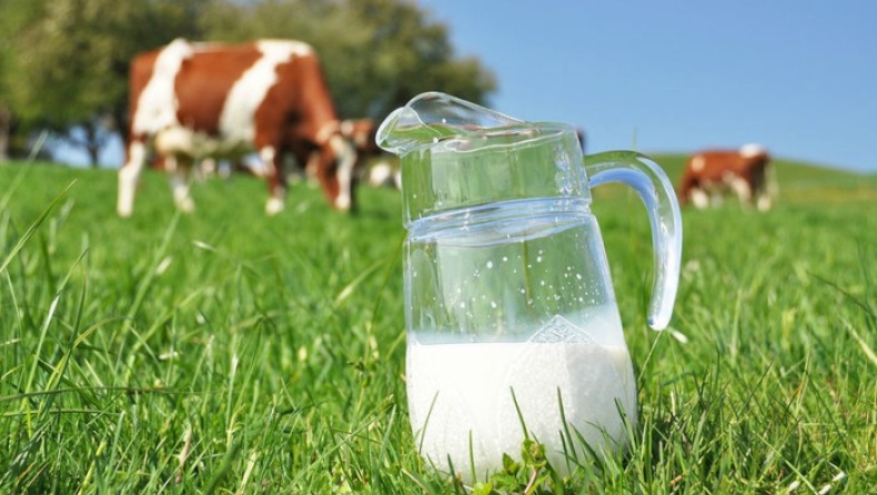 Ξεμένουμε από γάλα: Πρώτες επιπτώσεις στην Ελλάδα