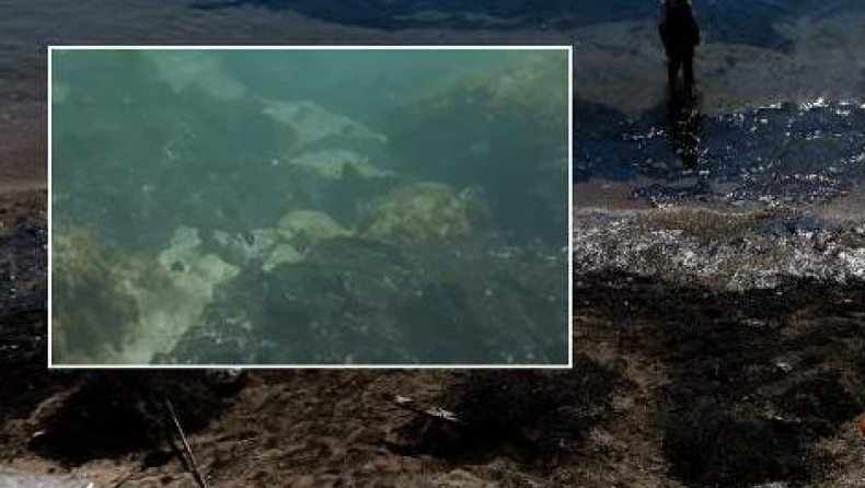Θλίψη προκαλεί το video με τον βυθό της Σαλαμίνας μετά το ναυάγιο (vid)