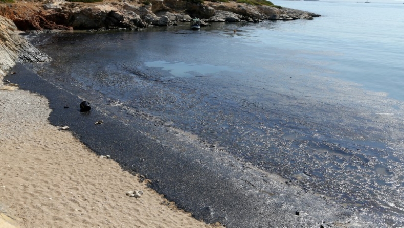 WWF: Μήνυση κατά παντός υπευθύνου για τη ρύπανση στον Σαρωνικό