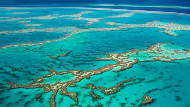 Ο μεγάλος κοραλλιογενής ύφαλος, η πιο προσοδοφόρα «επιχείρηση» της Αυστραλίας