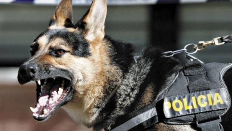 Ύποπτος προσπάθησε να ξεφύγει δαγκώνοντας αστυνομικό σκύλο