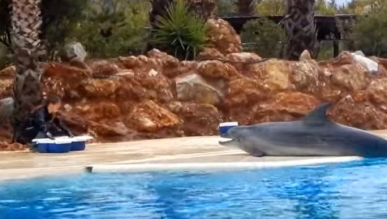 Το Αττικό Ζωολογικό Πάρκο απάντησε στις καταγγελίες (vid)