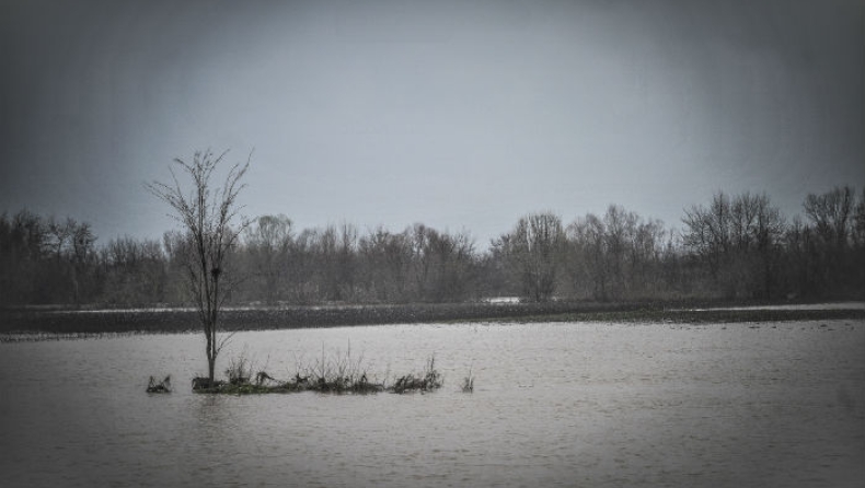 «Φούσκωσε» επικίνδυνα ο Πηνειός ποταμός