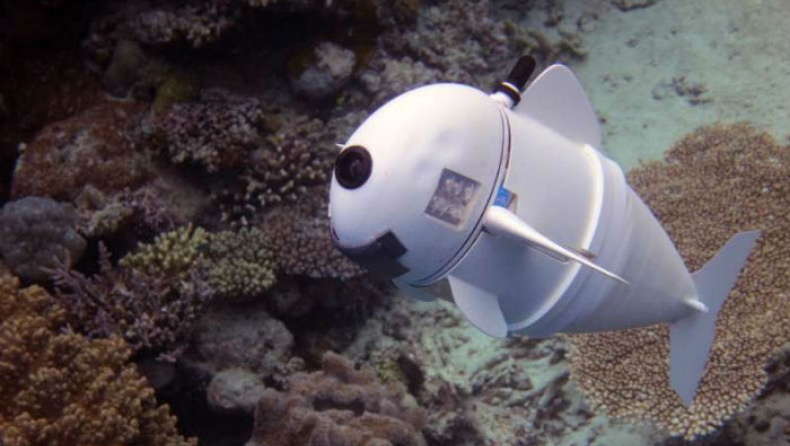 Η SoFi είναι ρομποτικό ψάρι και κολυμπά στα 18 μέτρα (vids)