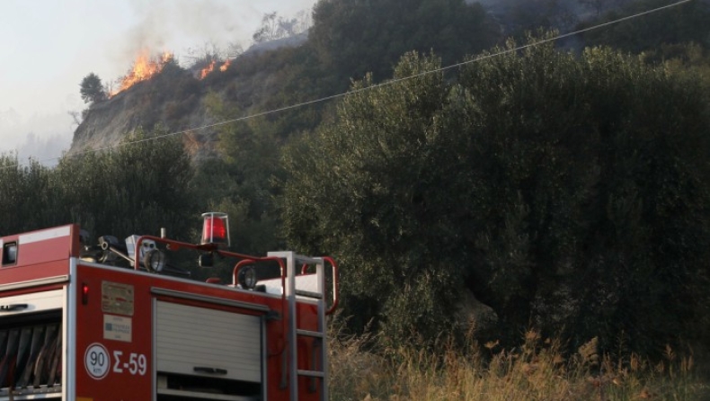 Πυρκαγιά σε πέντε μέτωπα στην Ηλεία