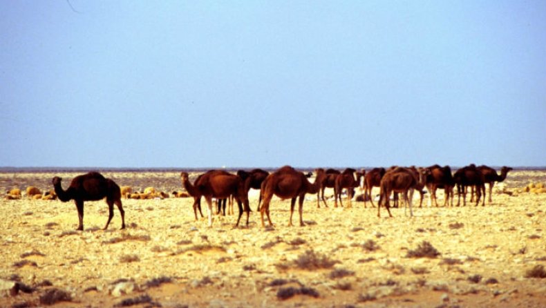 Η έρημος Σαχάρα έχει μεγαλώσει κατά 10%