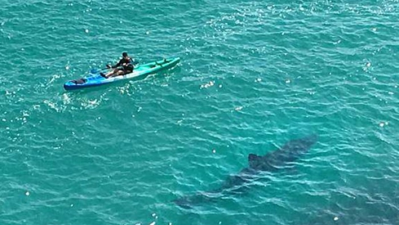 Tεράστιος καρχαρίας κολυμπάει μία ανάσα από καγιάκερ (pics & vid)