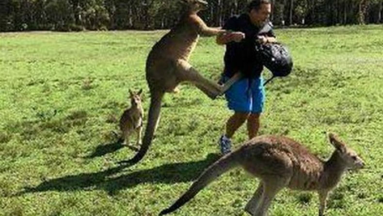 Καγκουρό επιτέθηκε σε τουρίστες που το τάιζαν