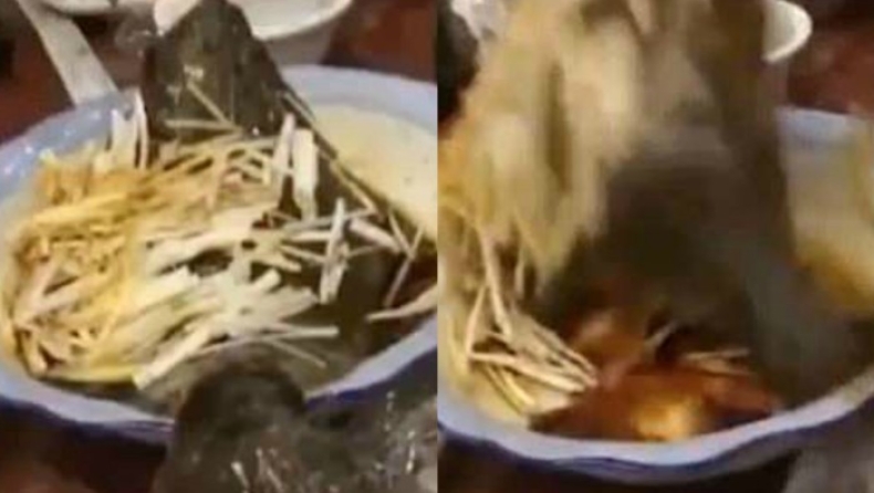 Ψάρι - ζόμπι πηδάει από πιάτο σε εστιατόριο (pics & vid)