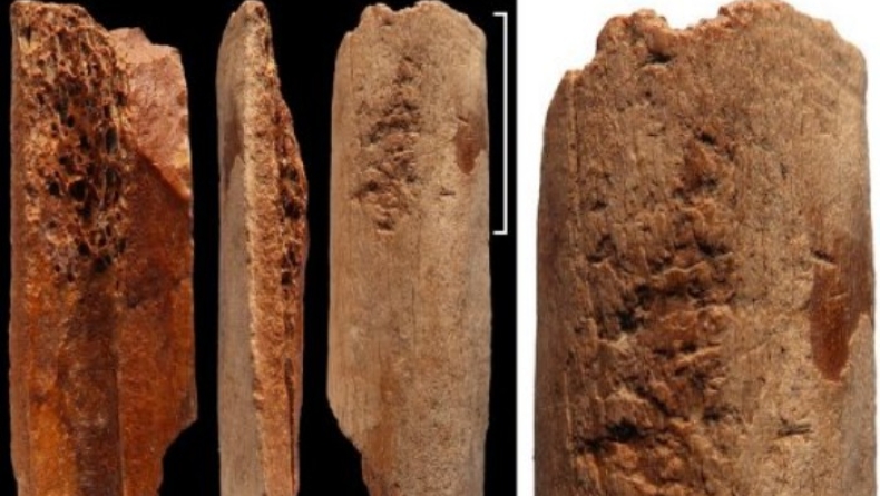Ανακαλύφθηκαν προϊστορικά εργαλεία ηλικίας 115.000 ετών (pics)
