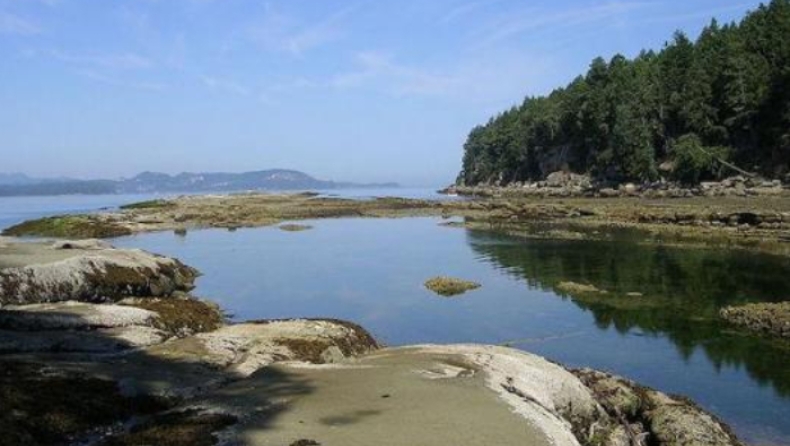 Θρίλερ στον Καναδά: Ξεβράστηκε το 14ο κομμένο πόδι από το 2007 (pic)