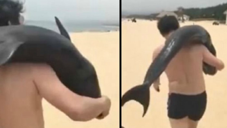 Τουρίστας άρπαξε ετοιμοθάνατο δελφίνι για να το πάει... σπίτι του (pics & vid)