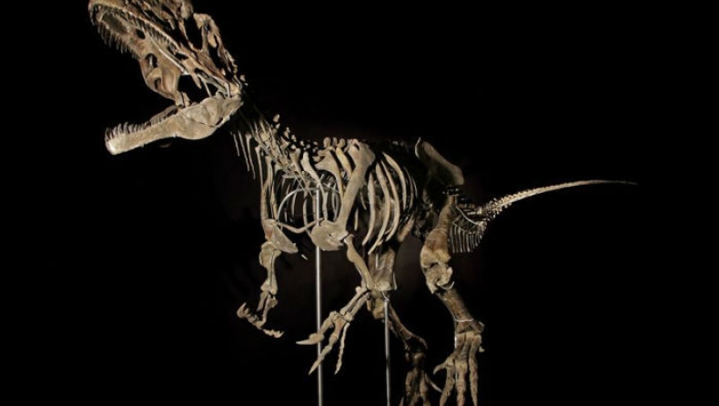 Σκελετός δεινοσαύρου πουλήθηκε 2,3 εκατομμύρια δολάρια