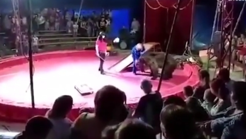 Αιχμάλωτη αρκούδα επιτέθηκε στον θηριοδαμαστή της μπροστά σε δεκάδες θεατές ρώσικου τσίρκου (pic & vid)