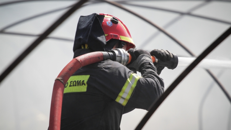 Μυτιλήνη: Περίπου 10 στρέμματα ελαιοκαλλιεργειών κάηκαν από πυρκαγιά