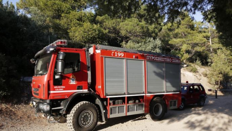 Υπό μερικό έλεγχο η φωτιά στα Πολιτικά Εύβοιας