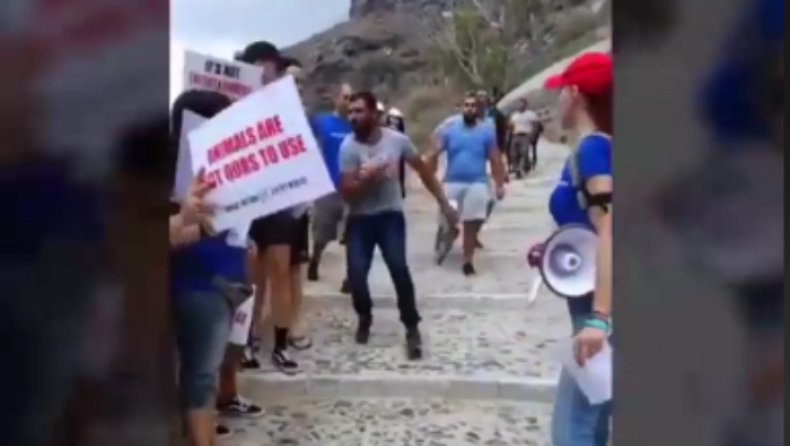 Ιδιοκτήτες γαϊδουριών επιτέθηκαν σε ακτιβιστές για τα δικαιώματα των ζώων (pics & vid)