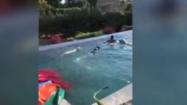 Οι σκύλοι του Ντιέγο Κόστα τον κυνηγάνε και αυτός πέφτει στην πισίνα (vid)