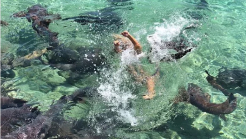 Ήθελε να ποζάρει μέσα στη θάλασσα με καρχαρίες και ένας της δάγκωσε το χέρι (pics)