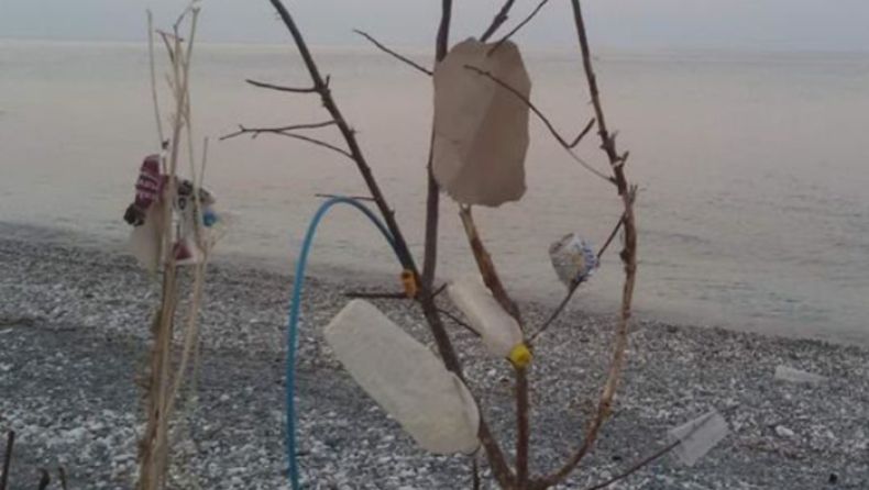 Τουρίστες στόλισαν δεντράκια με σκουπίδια κι έστειλαν το μήνυμά τους (pics)