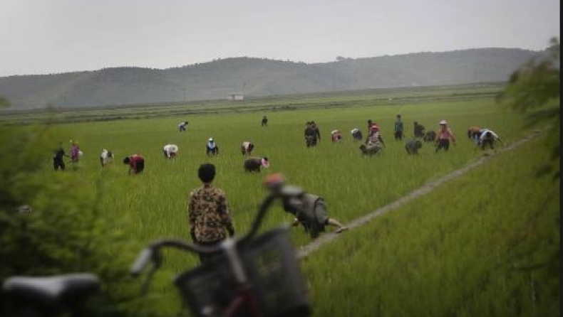 O καύσωνας στην Β.Κορέα μεγαλώνει τον κίνδυνο ευρείας επισιτιστικής κρίσης