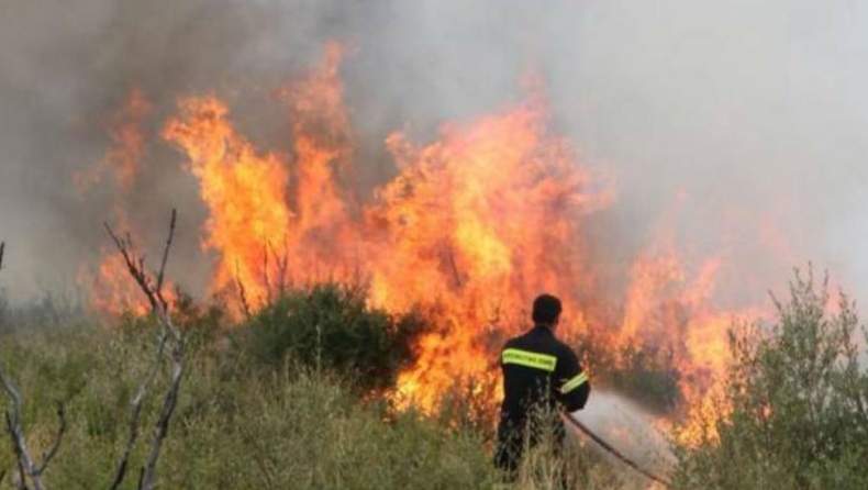 Ολονύκτια μάχη με τις φλόγες στην Ζάκυνθο: Έφθασαν ενισχύσεις από την δυτική Ελλάδα