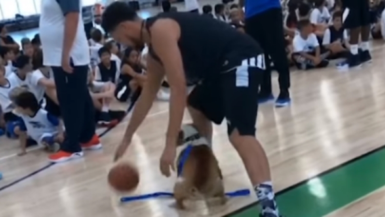 Ο Κλέι Τόμπσον μαρκάρεται από έναν σκύλο (vid)